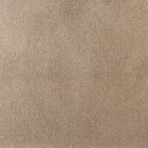 Ковровая плитка Tapibel Belflor SDN Luxe 65730