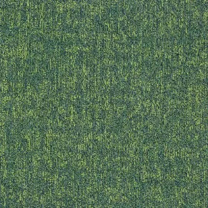 Ковровая плитка AMAZON F80421